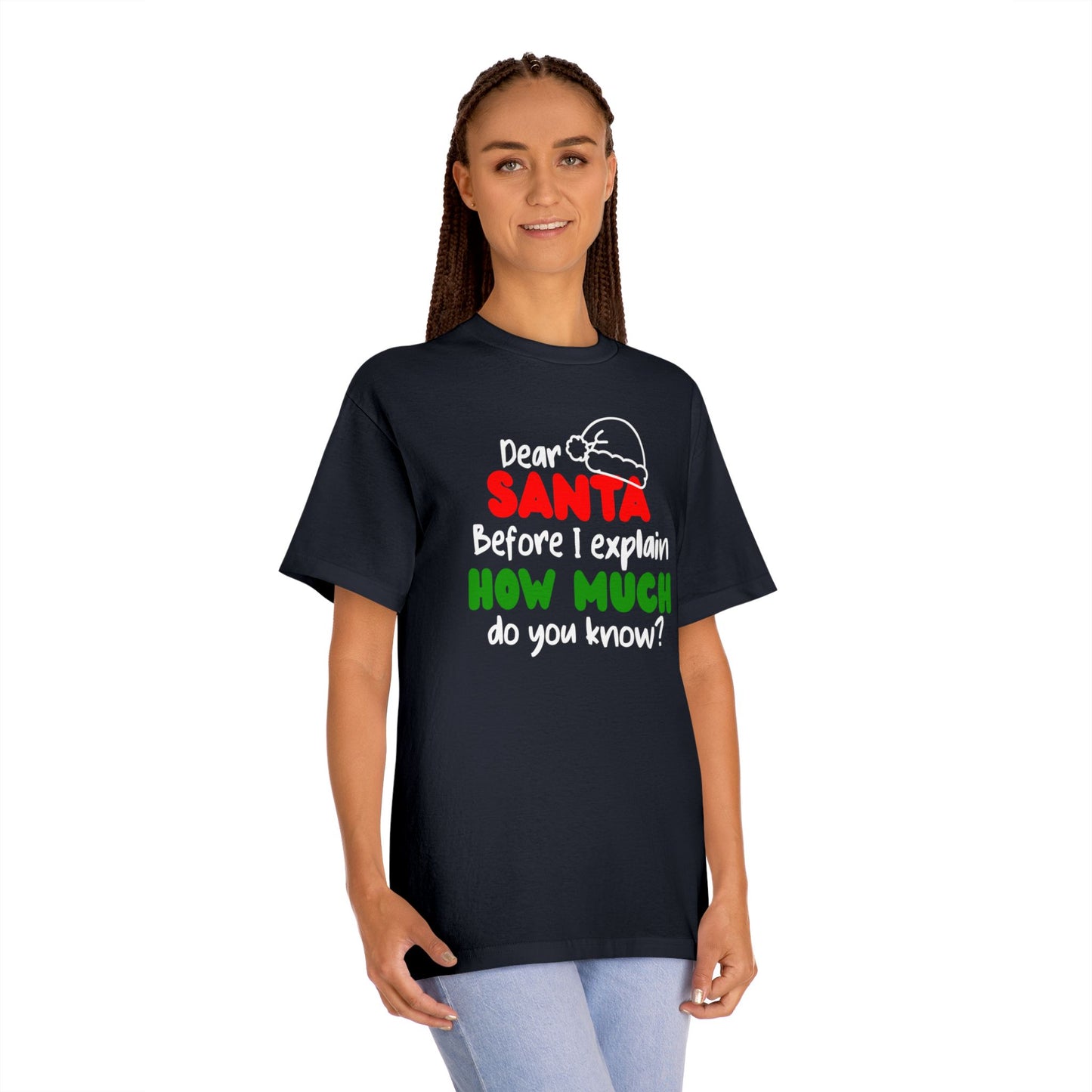 Dear Santa Funny Christmas T‑Shirt – "Dear Santa Before I Explain How Much Do You Know?" Holiday Tee