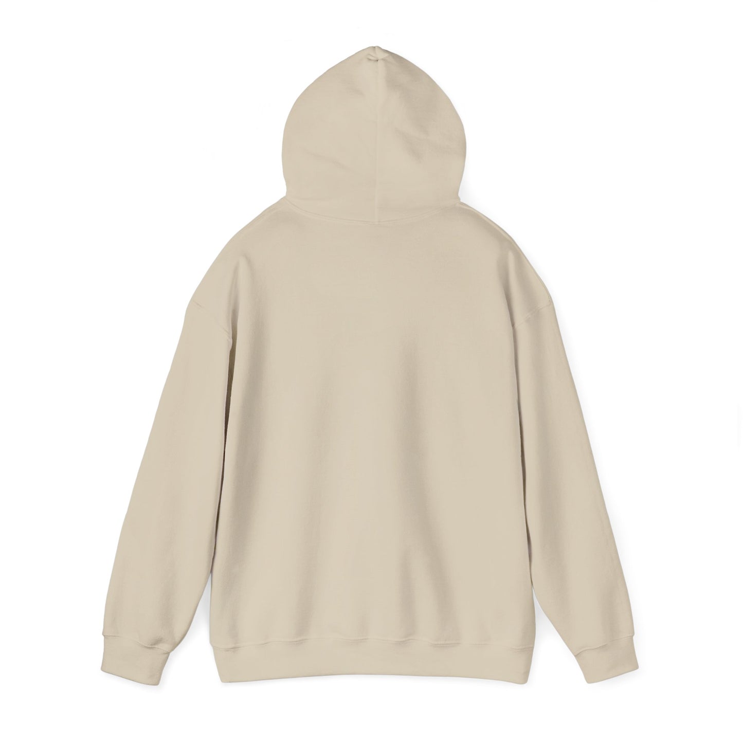 Freezing Cold Hooded Sweatshirt