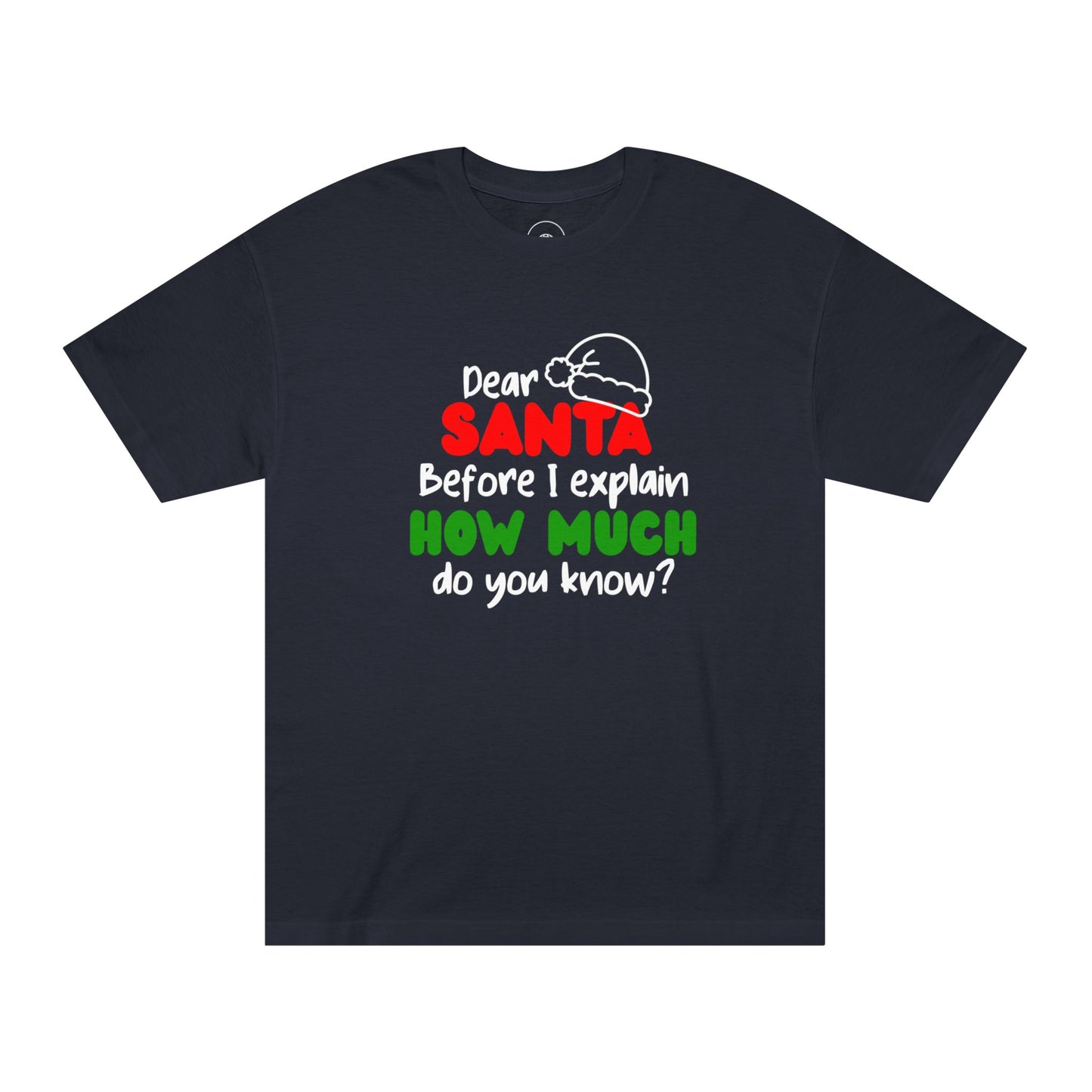 Dear Santa Funny Christmas T‑Shirt – "Dear Santa Before I Explain How Much Do You Know?" Holiday Tee