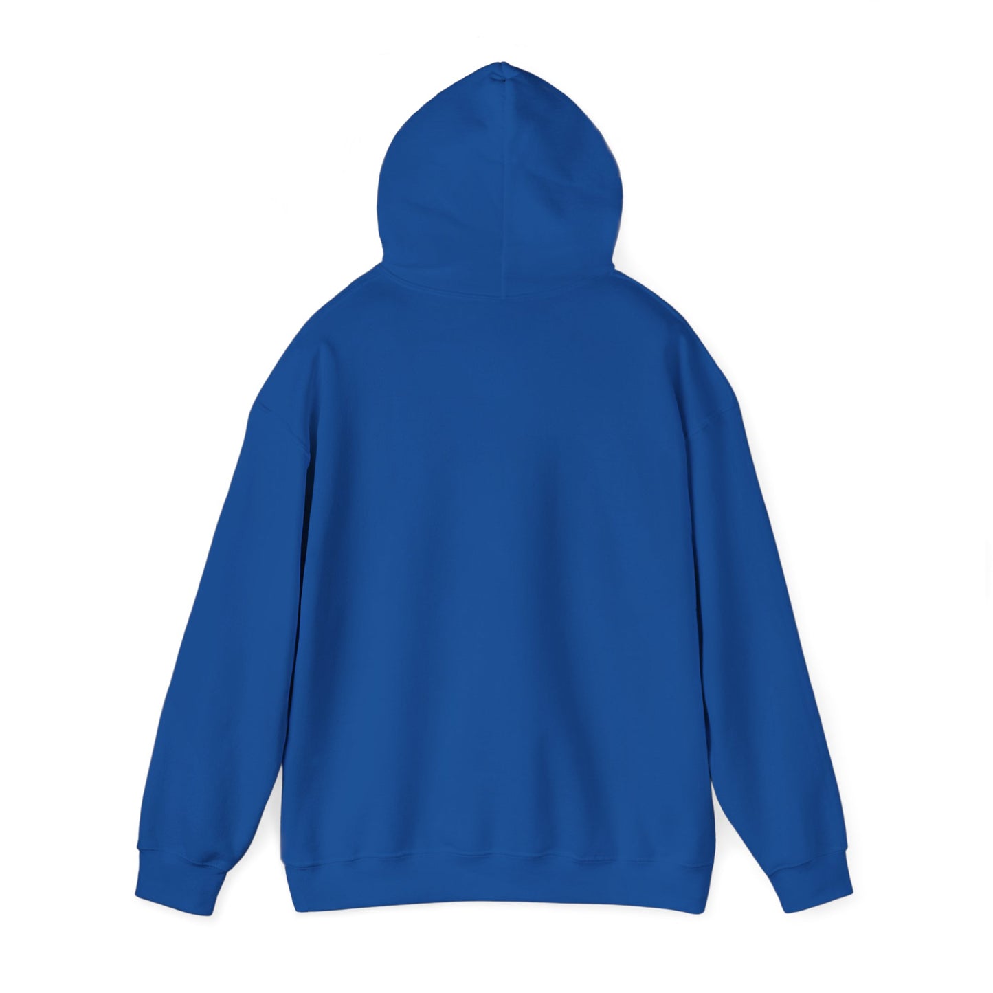 Freezing Cold Hooded Sweatshirt